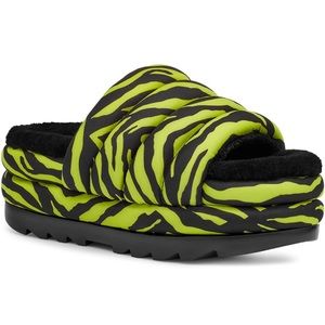 New in box UGG Women's Maxi Slide Logo Sandal key lime tiger print size 6 or 37